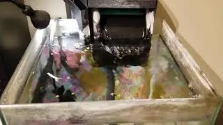 The Water Flow is too strong for Betta Fish