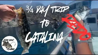 3/4 day trip to Catalina island! (REDO)