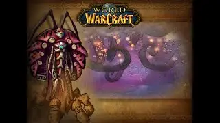 World of Solocraft - Temple of Ahn'Qiraj - Twin Emperors Vek'lor & Vek'nilash - Non-VIP