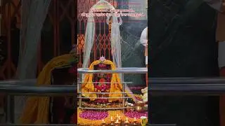 Jay Shiv Shankar Jay Bhole Baba #buddheshwar #trending #music #shorts #live #gyan #mahadev #mahakal