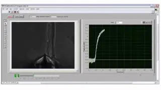 Myofibril bundle contraction movie and instantaneous tension