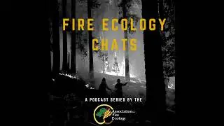 Episode 69: Assessing fuel treatments and burn severity using global and local analyses