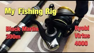Black Marlin||Ryobi Virtus 4000||My Fishing Rig