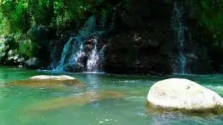 Calm Your Mind: Mountain Stream & Forest River Sounds for Anxiety Relief