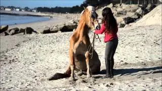 Pour que l'histoire 