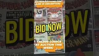 +30,000 Comics Up For Auction!