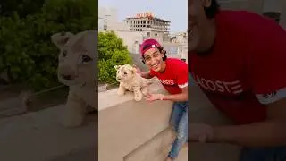 Leo 🦁 Roaring To Baby 😁|