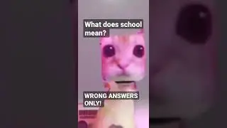 WRONG ANSWERS ONLY!!!!! ❌ #fypシ #tiara_slayys #meme