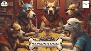 Friday Night Dog Talk with Patterdale Woodz and Nick - 4