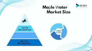 Maple Water Market