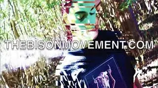 BISON&trade; - FREE - LITTERBUG(Prod.ICEHEIST) - INFINITY 2 (2017)
