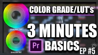 How To Color Grade and Use LUT's in 3 Minutes - Premiere Pro Basics Episode #5