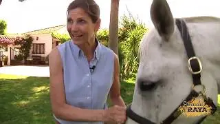 ¿Sabes cómo fortalecer la flora intestinal de tu caballo?