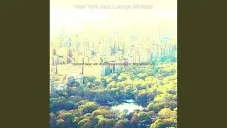 Distinguished Jazz Big Band - Vibe for SoHo Cafes