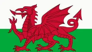 Cynulliad Cymru Mr Richards: