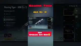 Roaring tiger