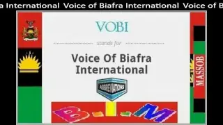 vobi bim-massob Live Stream