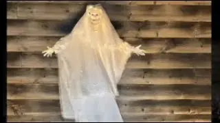 Woman in White at Sleepy Hollow 2024  #stiltdance #stiltwalker #livemusic #dance