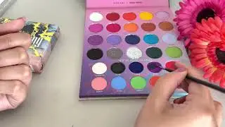 MORPHE X AVANI GREGG FOR THE BEBS ARTISTRY PALETTE #unboxing and #swatches