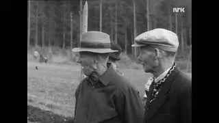 Potetopptaking 1961