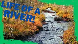 A Day in the Life of a River | From Source to Sea