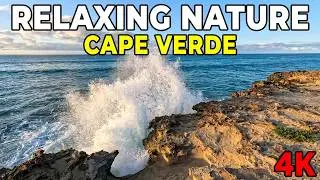 Cabo de Curral Velho | Boa Vista, Cabo Verde 🇨🇻 Atlantic Waves 🌊  4K Relaxing Nature | Pure Footage