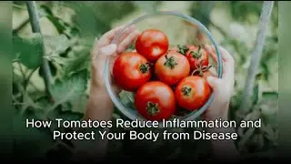 How Tomatoes Reduce Inflammation and Protect Your Body from Disease