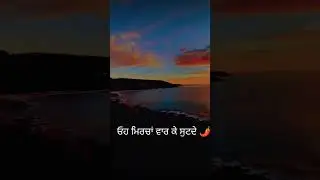 Boli tu pawe ❤️