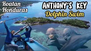 Roatan Honduras:  Anthony's Key Dolphin Excursion