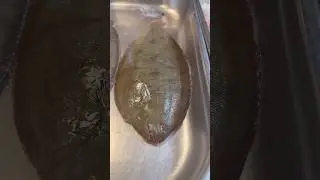 How to clean Dover Sole #fish #chefschoice #newchef #knowledge #advice