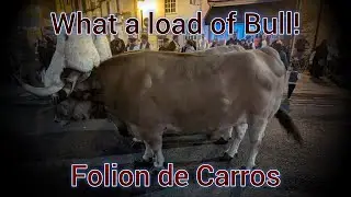 What a load of bull! Folion de Carros.