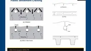 Dealing with Plastic Settlement Cracking: Case Studies and Lessons Learned