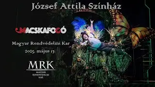 Macskafogó
