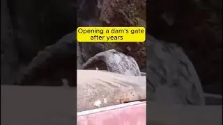 Opening a Dam Gate After Years Shocking Result 😱 #damopening #scary #viralshort #drainopening