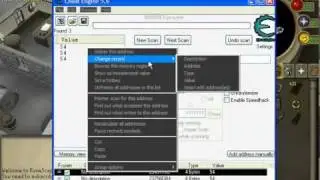 Runescape Cheat Engine 5.6 2011