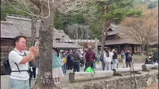 Explore Saiko Iyashi-no-Sato Nenba | Mt. Fuji Traditional Village Tour in Japan #japantravel