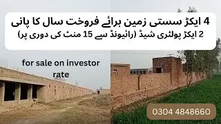 4acre Raqba |Poultry sheed| Sasti zameen for sale near Lahore #cheaplandforsale 2.0