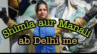 Delhi Weekend Trip || Snow World (-10&deg;C temp) || DLF mall of noida || Beat the heat