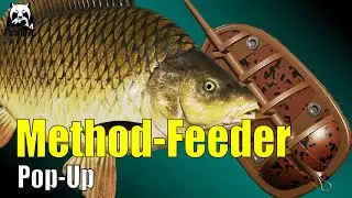 Russian Fishing 4  - The Amber Lake  - 🎣 XP and %%% with Method Feeder Pop-Up #rf4