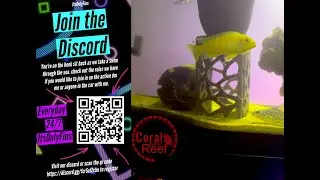Be Great. Be You. Postivite chi | Fishwatch w/Music | Join the discord link in chat.
