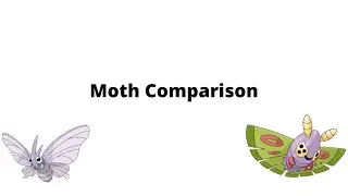 Moth Comparisons | Timeless Cup