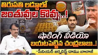 Tirupati Laddu Controversy: Animal Fat In Tirupati Laddus | Red Tv News