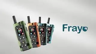 Frayo Dog Training Collar with Remote