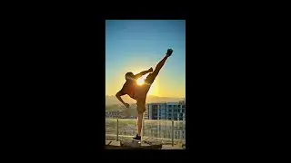 Welcome to Genesis Martial Arts - Home of Free Online Classes!