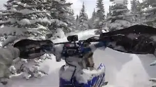February 2020 - I RENTED A SNOWBIKE FOR THE FIRST TIME - Vail Pass in Eagle County Colorado!