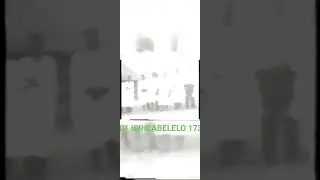 P428 UMLANDO WEZIHLABELELO 173