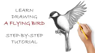 Easy Step-by-step Tutorial: How To Draw A Bird In Flight With Open Wings