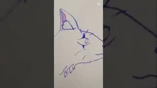 Edit Biały liść M&Oacute;J OC (m&oacute;j wymyślony wojownik z wojownik&oacute;w) Edit White leaf my oc #warriorcats