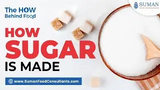 How is Sugar Produced? | Sugar Production Process | Suman Food Consultants