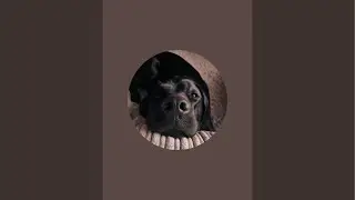emilyy is live!